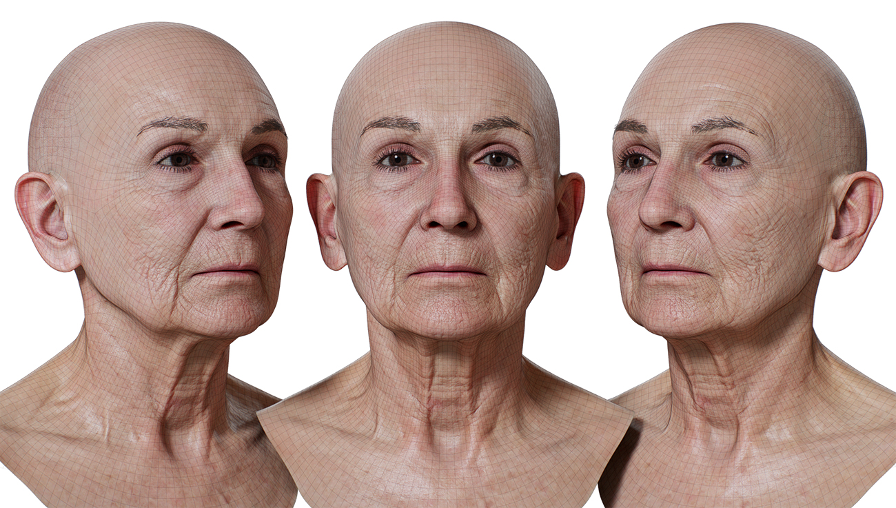 Download 3d head model with realistic skin